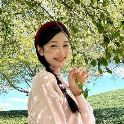 盛开的樱花林下